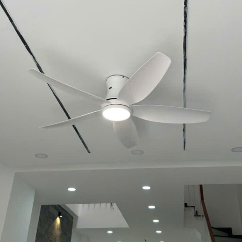 dct fan 302
