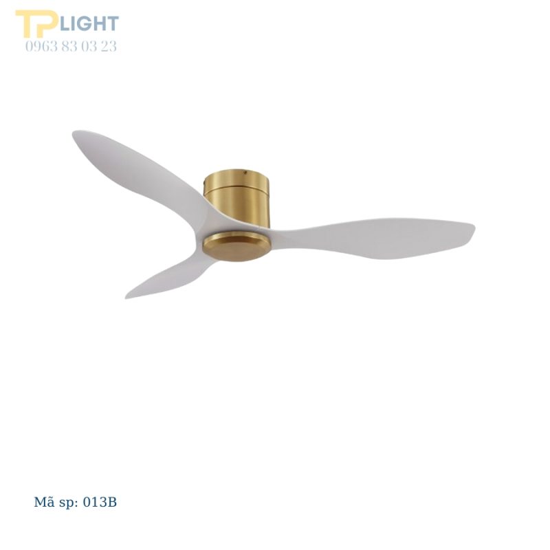 Quạt trần đèn 48YY-013B