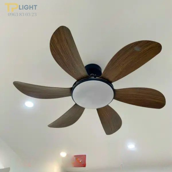 Mẫu quạt trần đèn phòng khách đẹp tại TPHCM