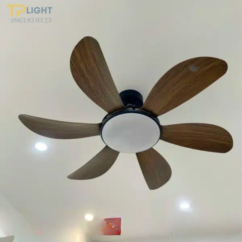 Quạt trần 5 canh 811GC