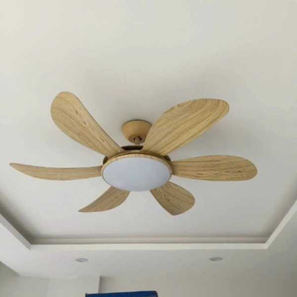 Quạt trần đèn 6 cánh QT 6662