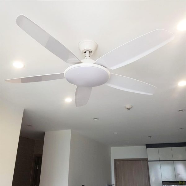 Quạt trần phòng bếp có 5 cánh hiện đại