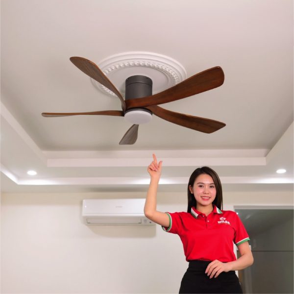 TPLight - Đơn vị cung cấp quạt trần Thanh Hóa uy tín hiện nay